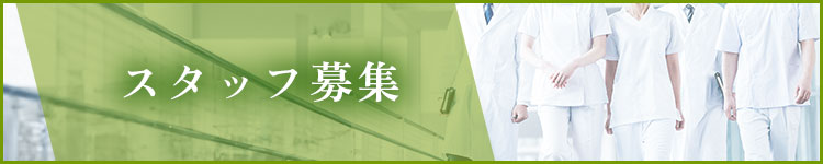 スタッフ募集
